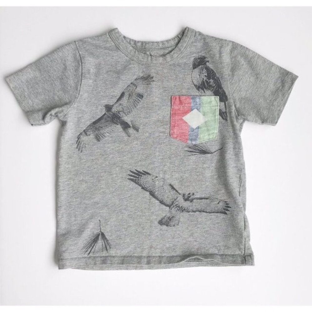 Gap Raptor Tee